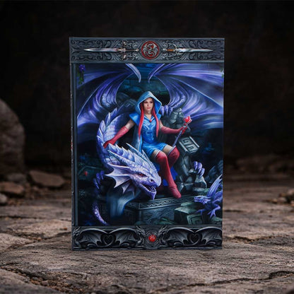 Dragon Mage Journal by Anne Stokes