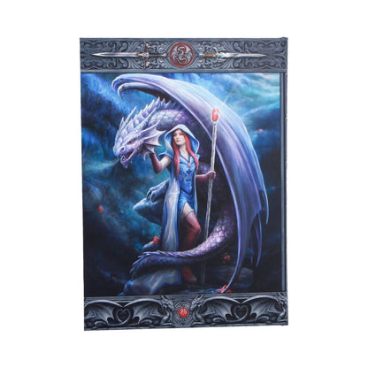 Dragon Mage Journal by Anne Stokes