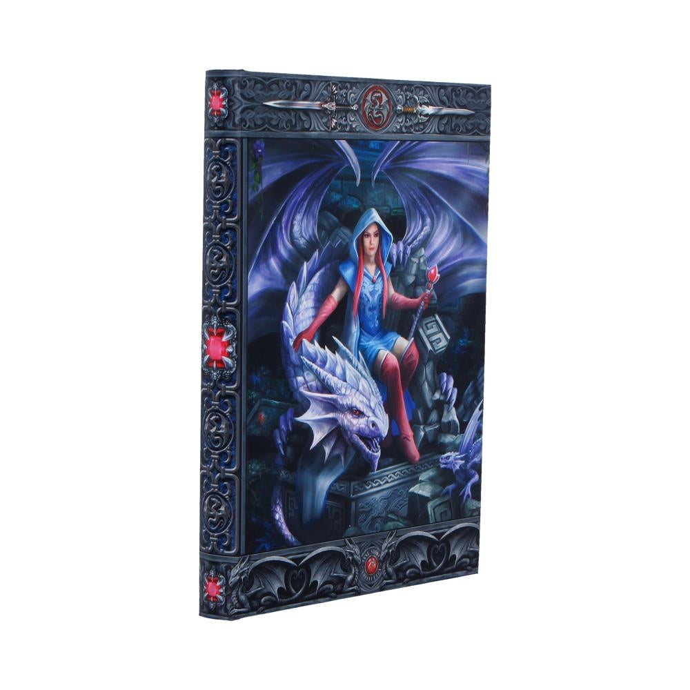 Dragon Mage Journal by Anne Stokes