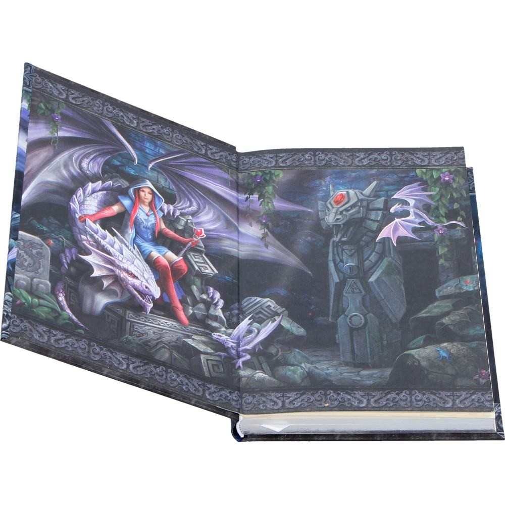 Dragon Mage Journal by Anne Stokes