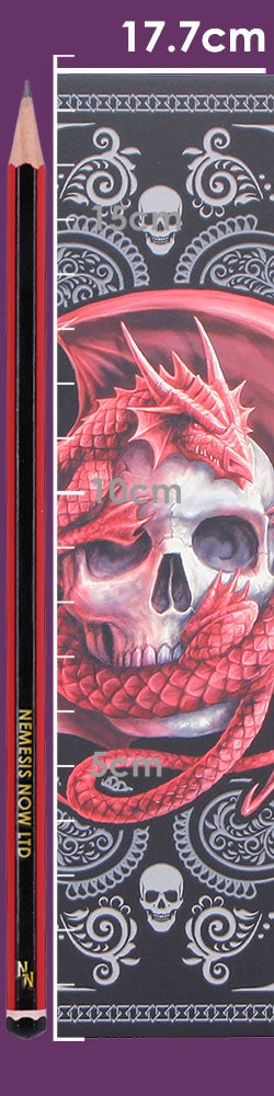 Skull Embrace Journal by Anne Stokes
