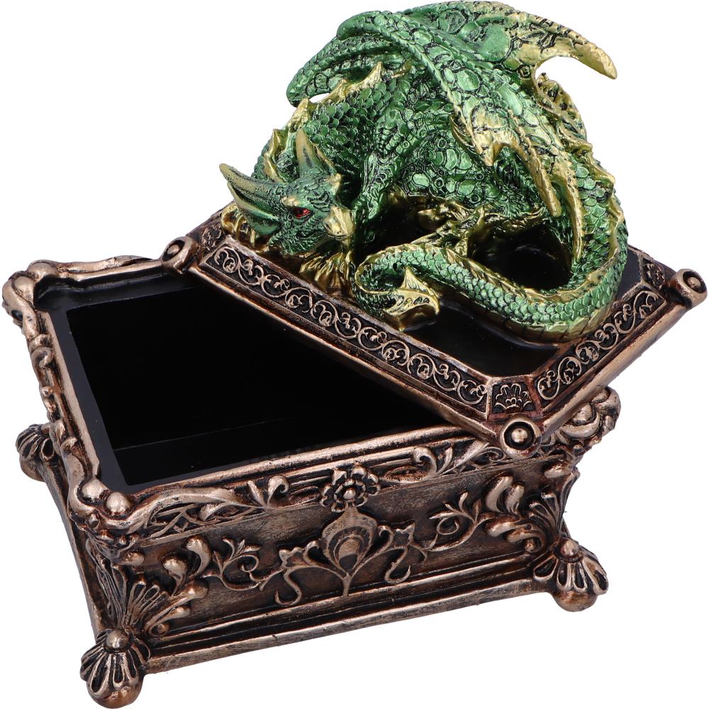 Guardian of the Hoard Dragon Box