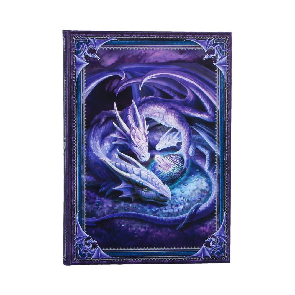 Welcome Hatchling Journal by Anne Stokes